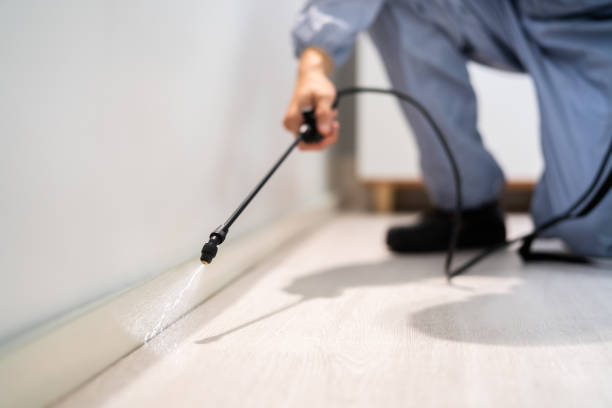 Licensed Pest Control service in Fulton, MS - Show Me Pest Control