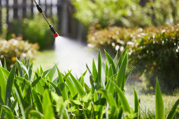 Tamper-Resistant Bait Stations for Rodents in Fulton