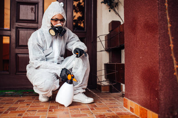 Attic and Crawl Space Rodent Treatment in Fulton